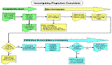 Plagiarism Investigation Flowchart