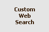 Custom Web Search
