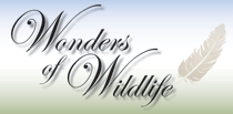 Washington NRCS "Wonders of Wildlife" Campaign Graphic Image
