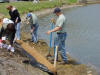 Volunteers and Fort Dix Environmental staff planting Biolog.