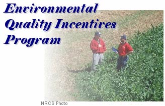Environmental Quality Inventives Program: Photo of NRCS District Conservationist and farmer