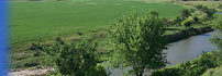 Buffer Strip Along Stream