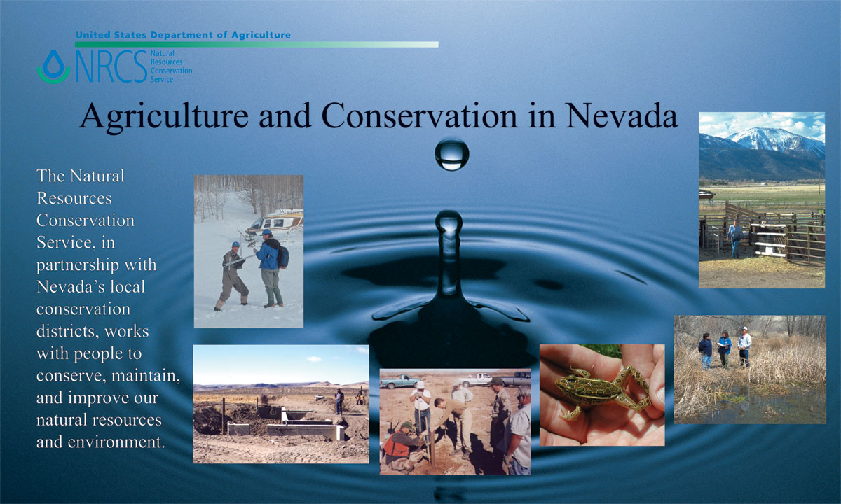 graphic_NRCS_Nevada_display