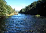 Picture of Clear Creek, California