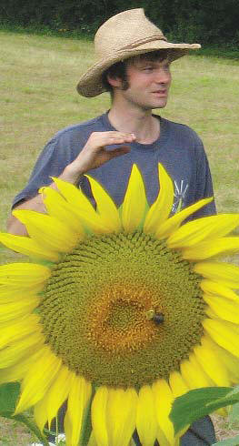 Dorn Cox, Lee sunflower grower