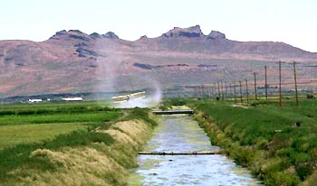 cropduster flying over an irrigation canal photo