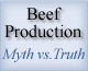 Beef Production