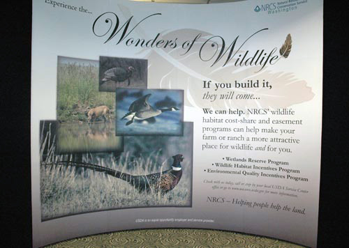 "Wonders of Wildlife" picture of display 