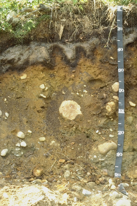 Picture of Colton soil profile. Click for more!