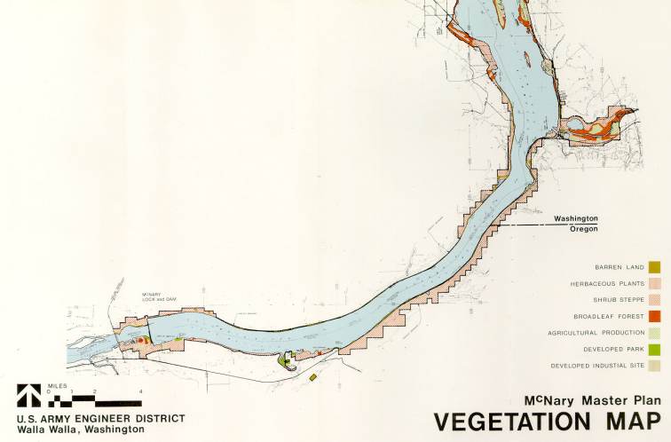 Vegetation map, sheet 1