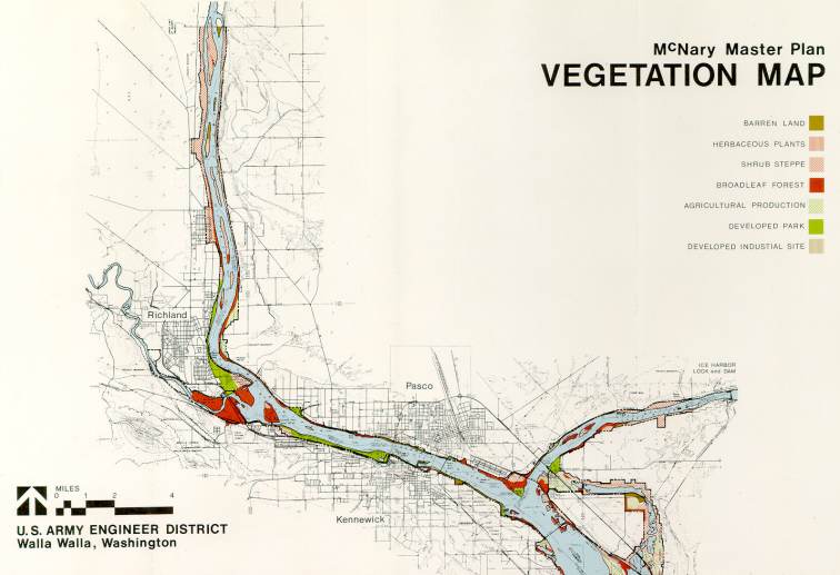 Vegetation map, sheet 2