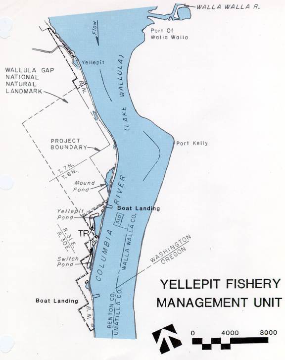 Yellepit Fishery Management Unit