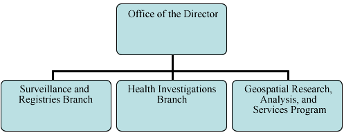 Division of Health Studies Organization Chart