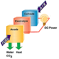 Diagram of a Basic Fuel Cell