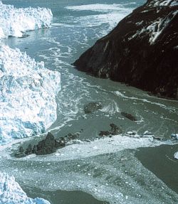 Photo of Hubbard Glacier terminus May 20, 2002 (click on image for enlargements 750 KB).