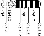 Ideogram of chromosome 22