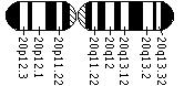 Ideogram of chromosome 20