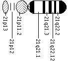 Ideogram of chromosome 21