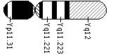Ideogram of the Y chromosome