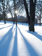 Winter shadows on Observatory Hill