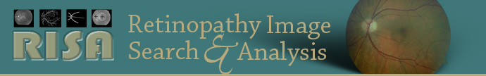 Retinopathy Image Search and Analysis - RISA
