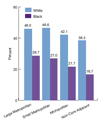 This is a graph showing people with a dental visit in past year by race. Large Metropolitan White: 46.0, Large Metropolitan Black: 28.7; Small Metropolitan White: 46.6, Small Metropolitan Black: 27.0; Micropolitan White: 42.1, Micropolitan Black: 21.7; Non-Core Adjacent White: 38.5, Non-Core Adjacent Black: 16.7