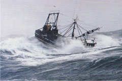 Fishing vessel in high seas.