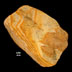 Image from Geology Online