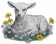 lamb sitting in daisies