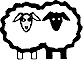 Sheep 101