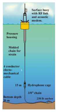 Figure 2. Simple surface mooring combines acoustic modem and radio-frequency modem
