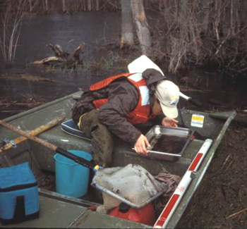 Student researching in boat