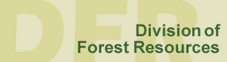 DFR banner