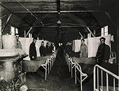 Black and white photograph of rows of hospital beds.  The beds are all occupied and gauze tents separate the beds.  