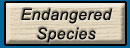 endangered species drop-down menu/light-up button