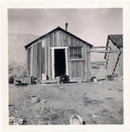 A black and white photograph of an Indian dwelling in a rural area.  Text below the image reads “Another type of dwelling in Virginia City.  In this shack I found four people lying on the dirt floor wrapped in rags apparently all suffering from influenza.  I was told they had refused medicine from the white doctor and Dick Mauwee, a Paiute enrolled at Pyramid Lake Reservation, was the doctor.  The small four-light window admitted the only light.  It was nailed tight, the only door was kept shut tight and no ventilation was attempted or was possible.  The stench which greeted us when we entered was most horrible and could be endured but a short time.  An Indian had just been taken from this structure for burial.  The father of this family was the Indian alluded to on another page as a “walking case.”