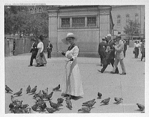 A black and white image of a woman in a dress and hat feeding numerous pigeons in Boston Common.  Several people appear in background.    