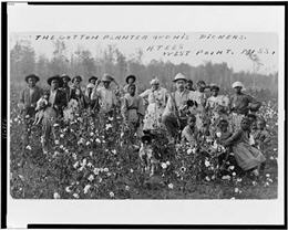 Postcard showing Euro American man holding shotgun and dog, with African American men, women, and children, in cotton field.