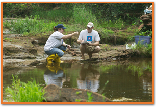 water quality