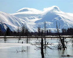 Portage Valley, Alaska