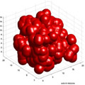 A computer model of a small aggregate of bacteria growing in the bloodstream. Courtesy of John Younger and David Bortz.