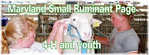 4-H and Youth