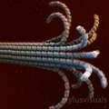 Microtubule Breakdown