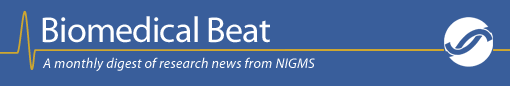 Biomedical Beat - A monthly digest of research news from NIGMS