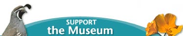 [SDNHM Development -- Support the Museum]