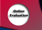 Online Evaluation