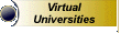 Virtual Universities
