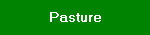 Pasture