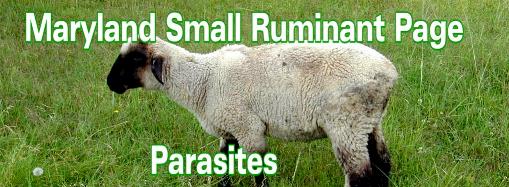 Parasites