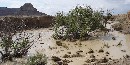 Photo of Chaco wash during a flood after heavy rains.